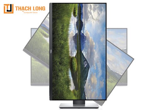 Dell 24" Professional P2419H