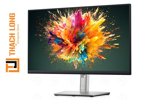 Dell 24" Professional P2422H